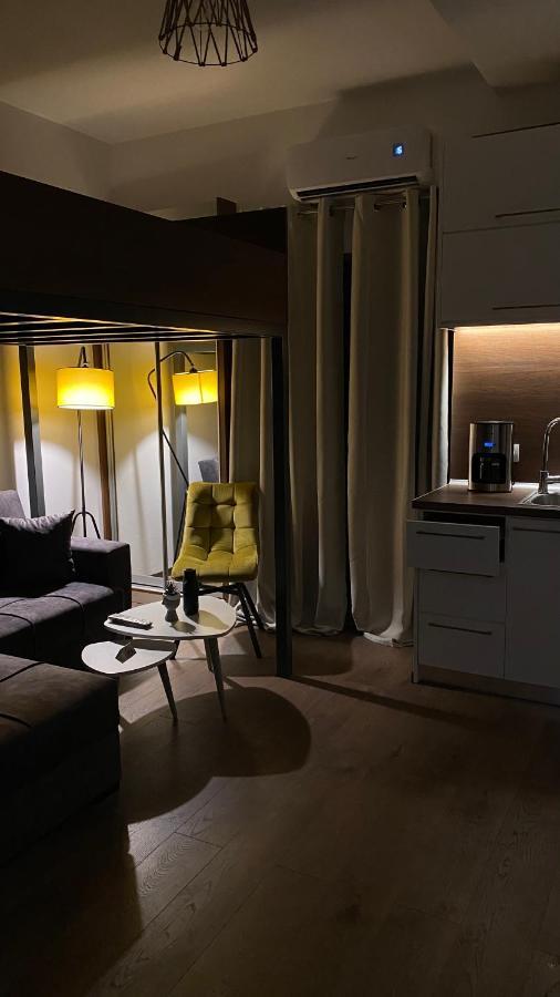 Modern Tiny House In